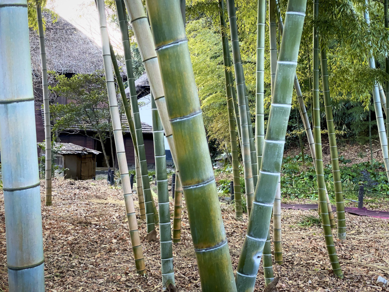 穴場の古民家でのフォトウェディングはいかが？