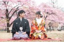 桜撮影のご検討、はじめませんか?
