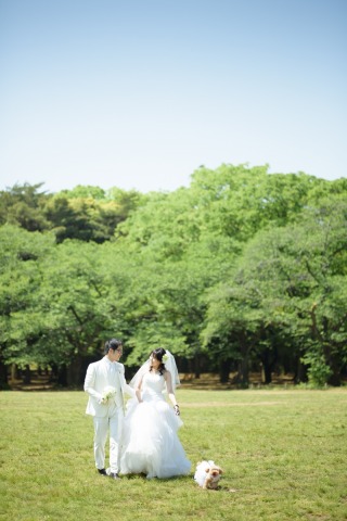 まだ間に合う!新緑撮影!!!