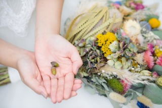 小さい秋みつけた!