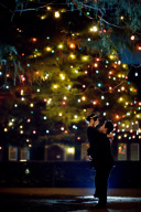 思い出の母校でイルミネーション撮影