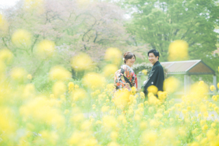 春の撮影募集中!!