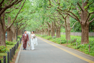 こんな方法があった! オプション紹介
