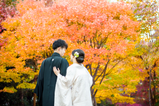 秋の撮影予約はおはやめに!