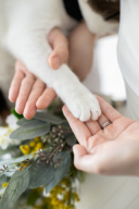 大切な家族と一緒に!