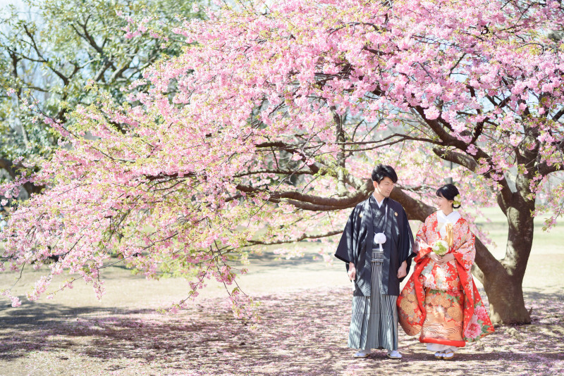 桜なら河津！２月の撮影も受付中です！