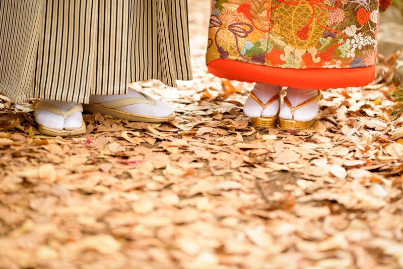 紅葉シーズンの撮影でおすすめの撮影場所や注意点について！