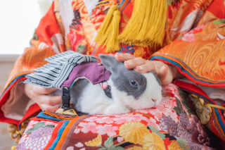 【貸切スタジオ】うさぎちゃんと一緒にフォトウェディング