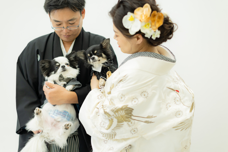 【卒花から学ぶ】大阪でフォトウェディングを撮影する時の節約術