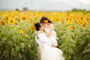 関西で出会えるひまわり畑3選とフォトウェディングの魅力