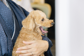 【結婚式前撮り】美容院に行く前に知りたいポイント