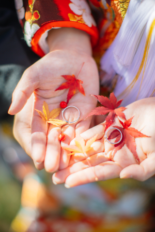 【MVPフォト】December