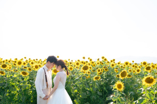 夏のフォトウェディング衣装