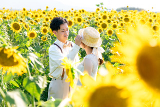 夏といえばひまわりロケ！