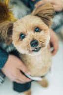 日本伝統の和装でソロウェディング