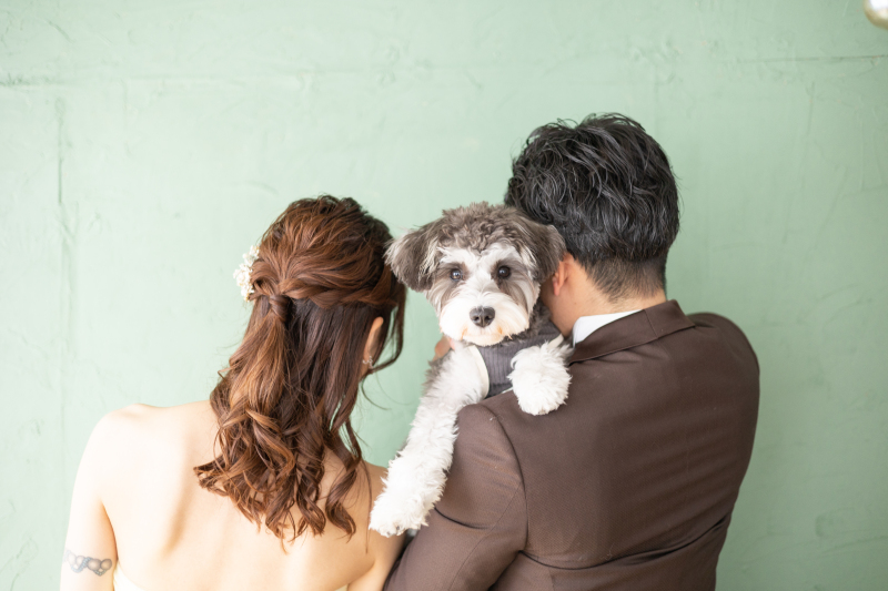 シチュエーションで広がる錫婚式フォトの世界
