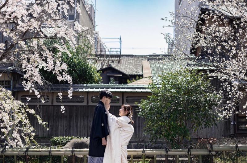 桜フォトウェディングの準備はいつから？計画の第一歩