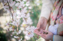 準備はいつから？結婚写真で桜ロケ