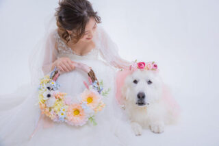 大型犬とも一緒にフォトウェディング♪