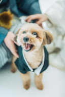 フォトウェディングの指示書は必要？