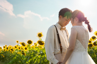 夏といえばひまわりロケ!