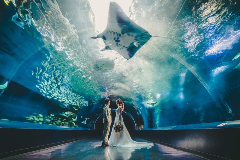 ＊＊衣装のご案内＊＊