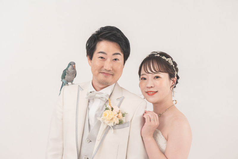 今週末のフェアのご案内です♪