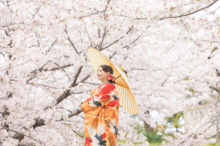 桜ロケ撮影 ♪