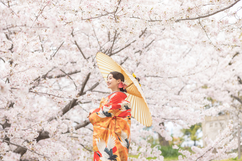 桜ロケ撮影 ♪