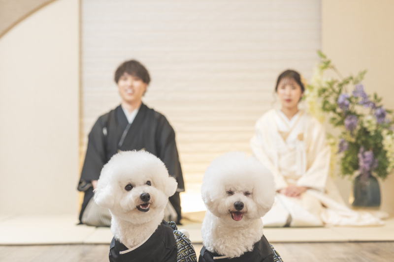 今週末のご相談会もまだ空きがあります◎