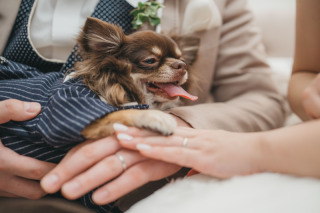 今週末のフェアのご案内です♪