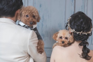 今週末のフェアのご案内です♪♪