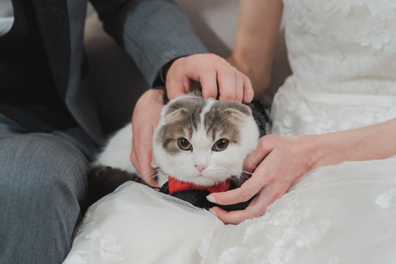ねこちゃんと一緒に♡