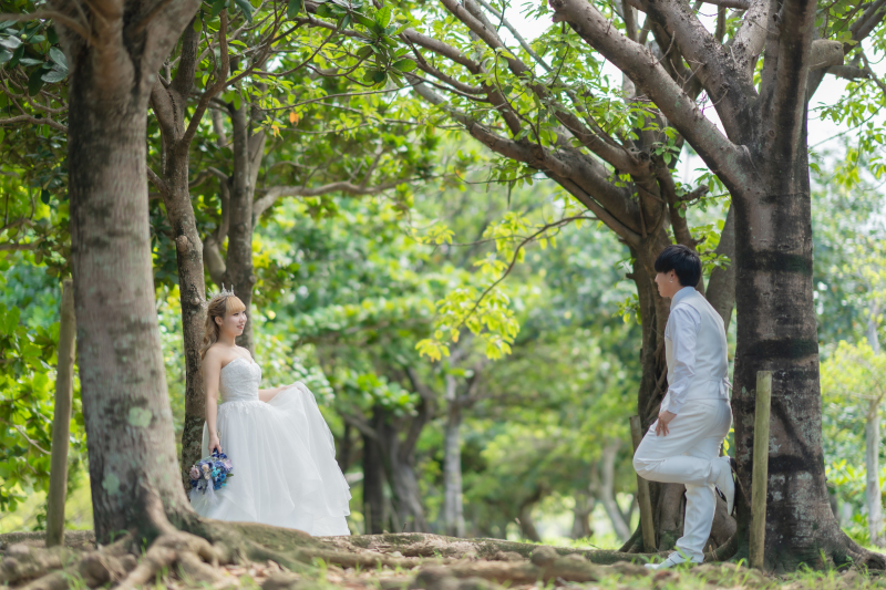 沖縄=ビーチが大人気!グリーンも負けてません!沖縄感じる木々と撮影しませんか?