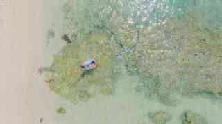 夏の時期におすすめなプラン紹介