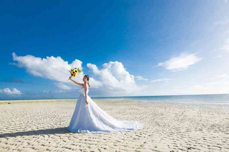 全部のドレスが選べる！