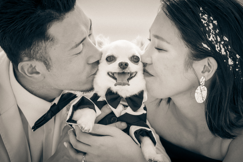 【よくある質問集】よくいただく質問をまとめました!ぜひご参考くださいませ♪