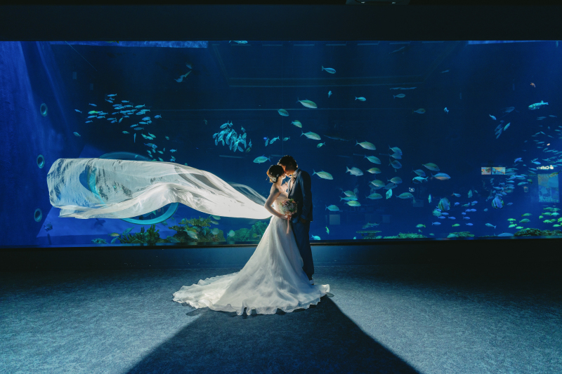 ファンタジー感溢れる幻想的な水族館での撮影プランも人気です!!
