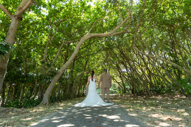 沖縄の絶景をドローンで♬ドローンにしか撮れない景色もあるのでオプションでぜひ！