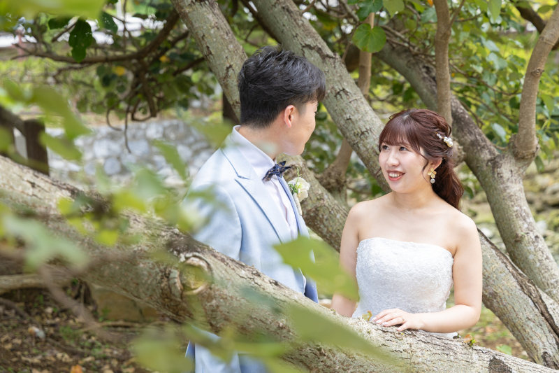 沖縄本島から船で行ける離島をご紹介!慶良間諸島のご紹介!魅力たくさん阿嘉島!