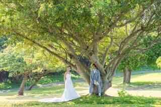 当社人気プランの紹介