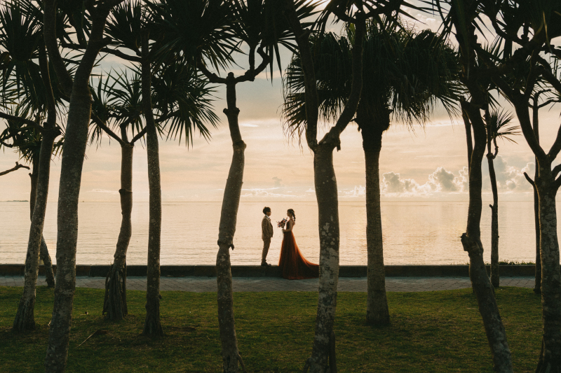 沖縄=ビーチが大人気!グリーンも負けてません!沖縄感じる木々と撮影しませんか?