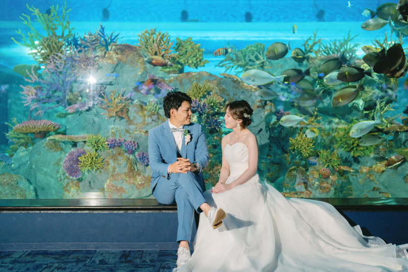 ファンタジー感溢れる幻想的な水族館での撮影プランも人気です!!