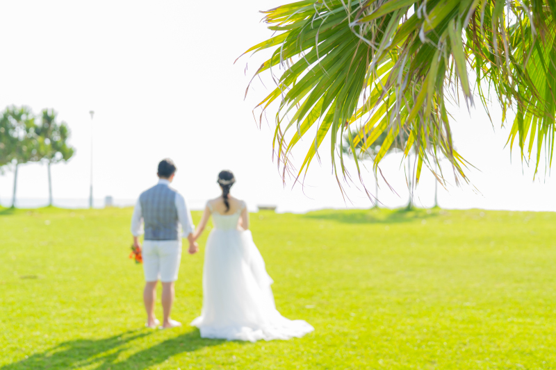 沖縄=ビーチが大人気!グリーンも負けてません!沖縄感じる木々と撮影しませんか?