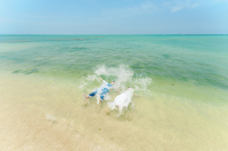 夏真っ盛り！！ドレスのまま海にとびこむウォーターイン！！！