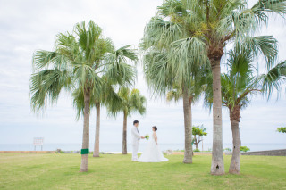 PICK UP DRESS★グレードアップ 003