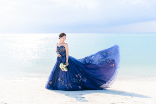 PICK UP DRESS★グレードアップ LS20857