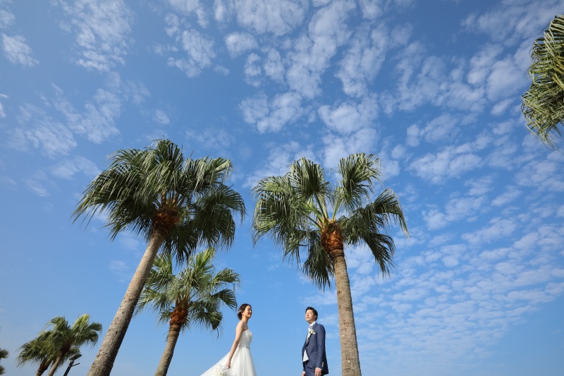 夏の高い雲×青い空