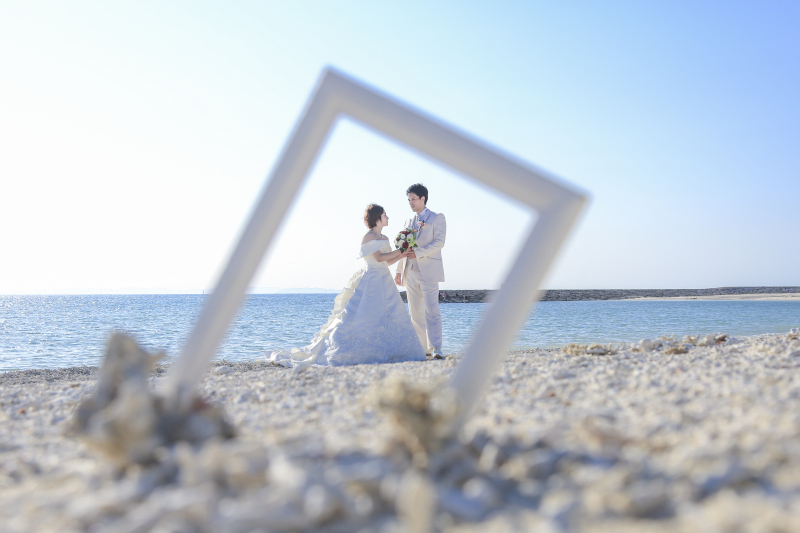 夏のキャンペーンプラン登場★