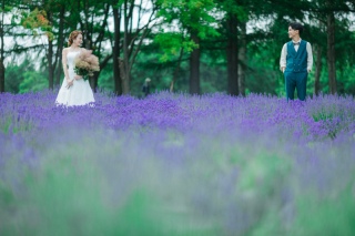 【夏季限定】札幌ラベンダーフォトプラン❀